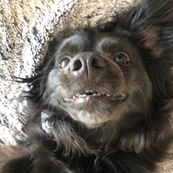 Meet your Posher, Natalia - Picture 2 of 5